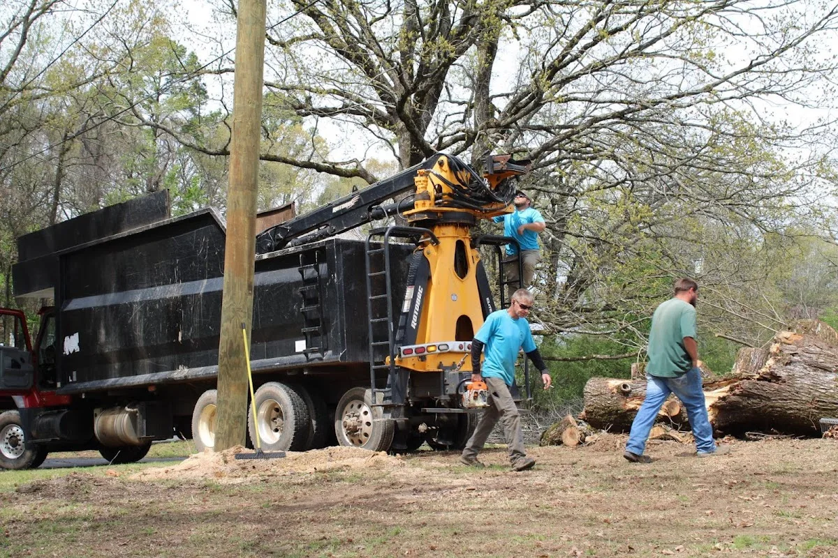 C&C Tree Services of Arkansas, LLC