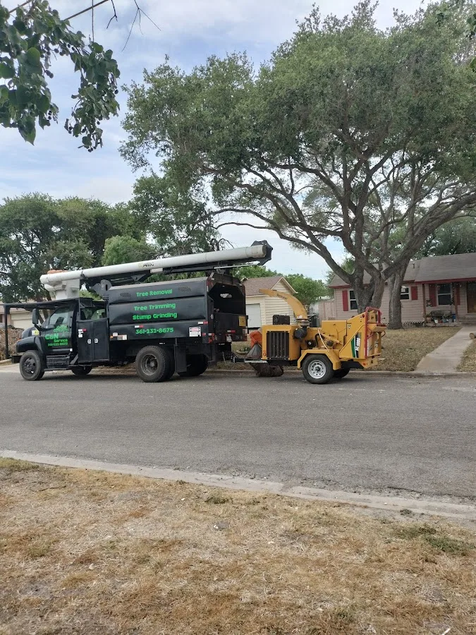 C&N Tree Service