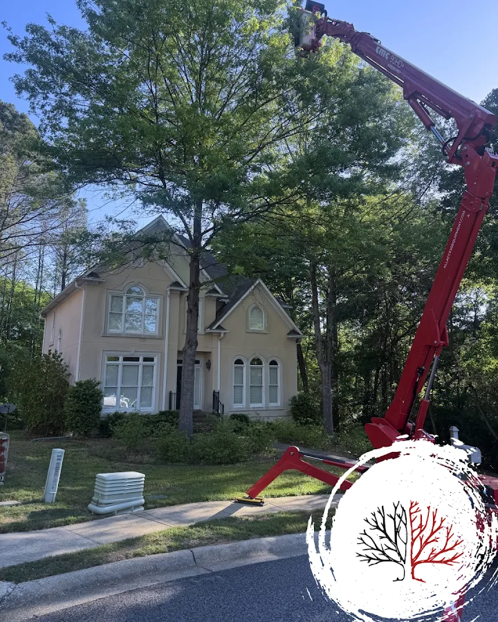 Cahaba River Tree Service gallery 2