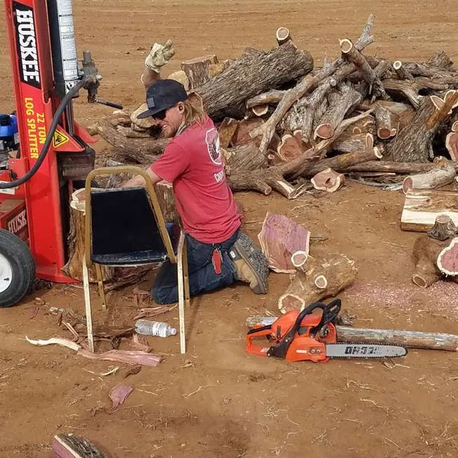 Caprock Tree Removal gallery 3