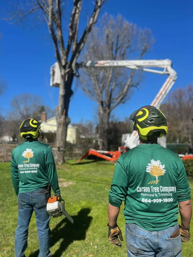 Carson Tree Company work site