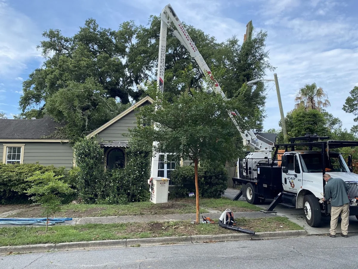 Catco Services LLC