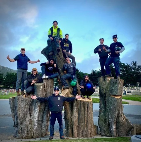 CC Tree Design work site