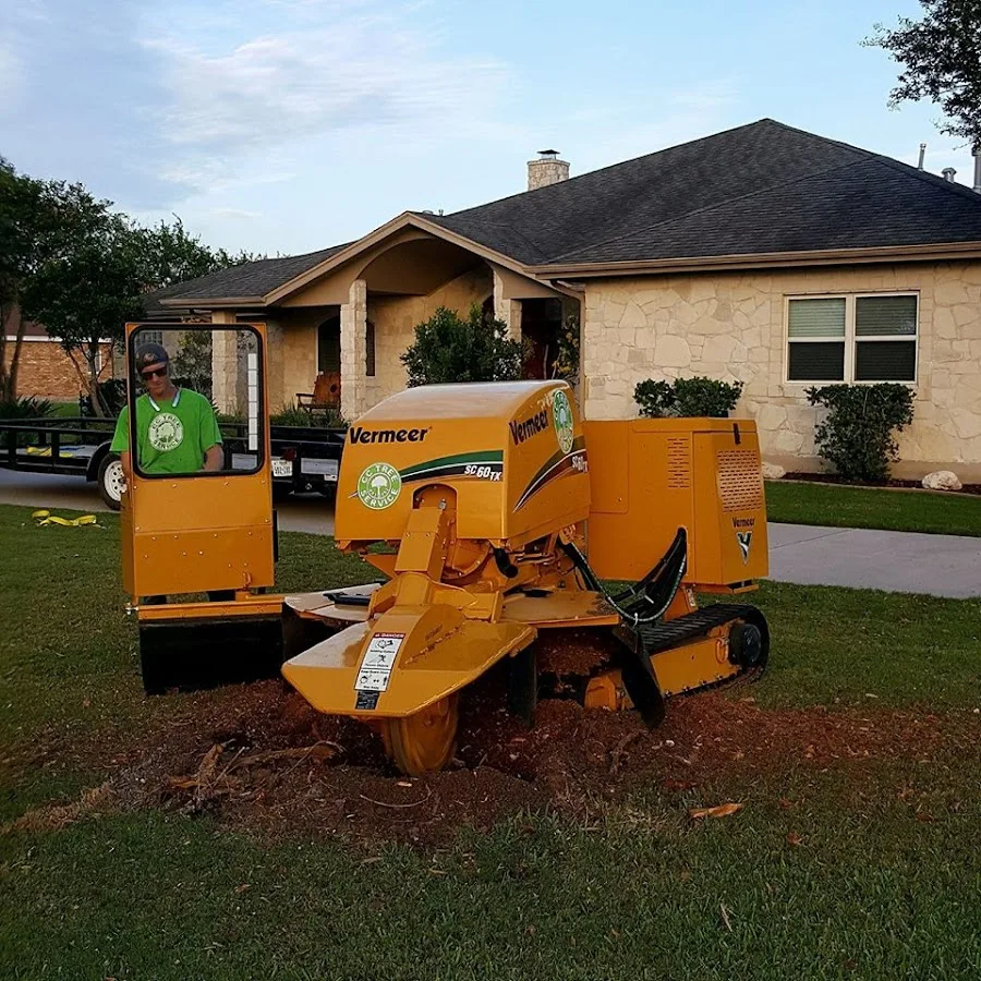 CC Tree Service work site