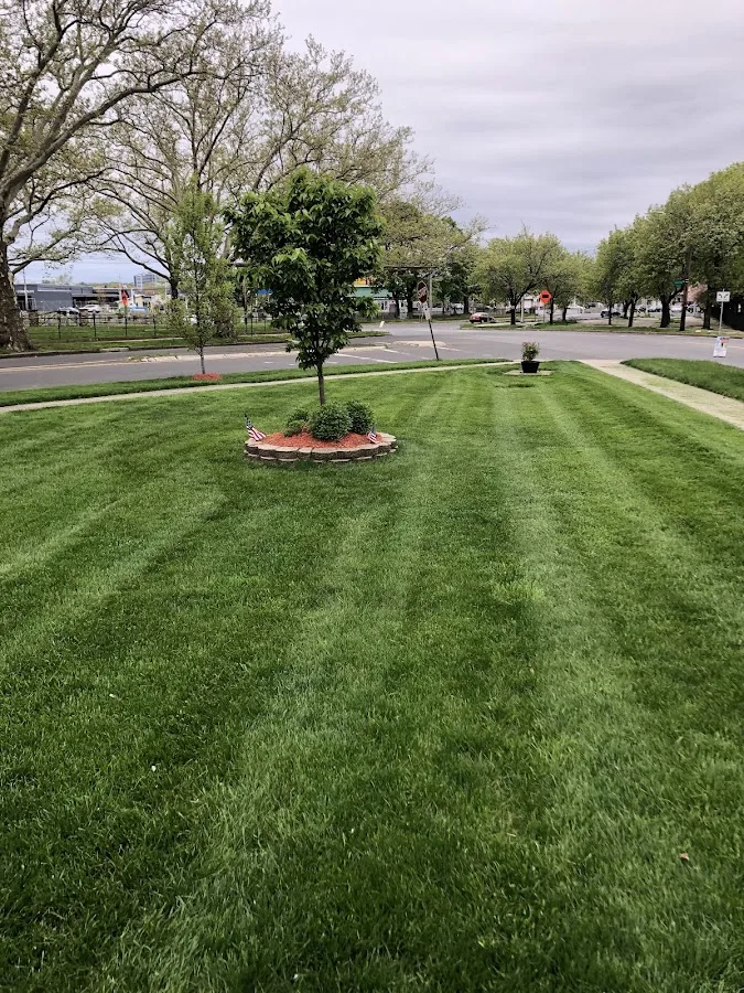 Centi's Landscaping LLC & Tree Removal Services (New Haven, CT): How to Confirm Stump Grinding Scope Before You Book