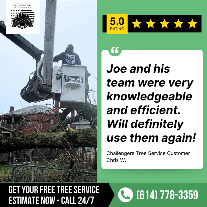 Challengers Tree Service gallery 3