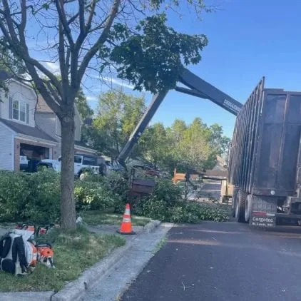 Challengers Tree Service gallery 6