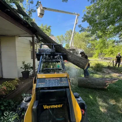 Challengers Tree Service gallery 7