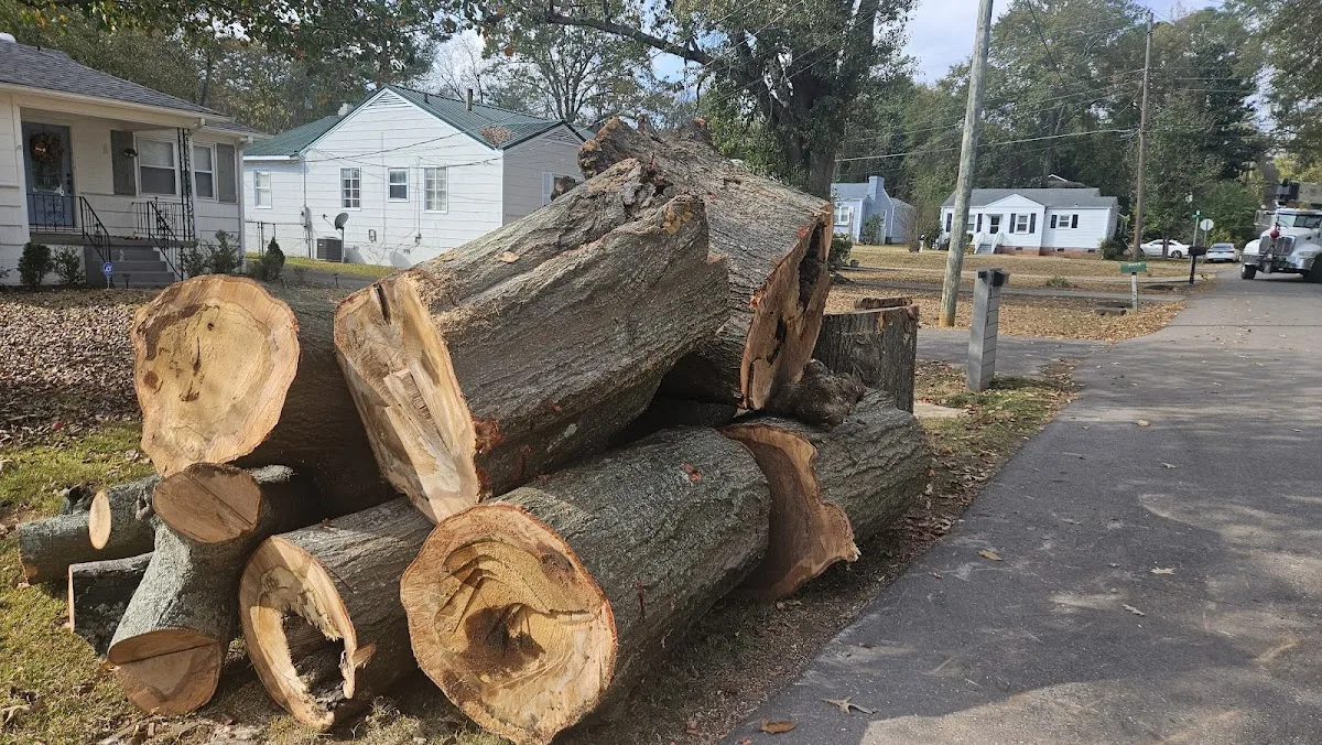 Champion Tree Service