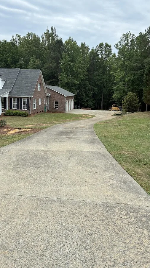 Champion Tree Service