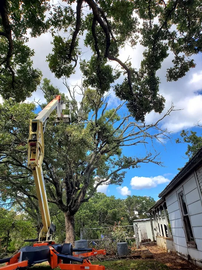 Charleston WV Tree Service gallery 2