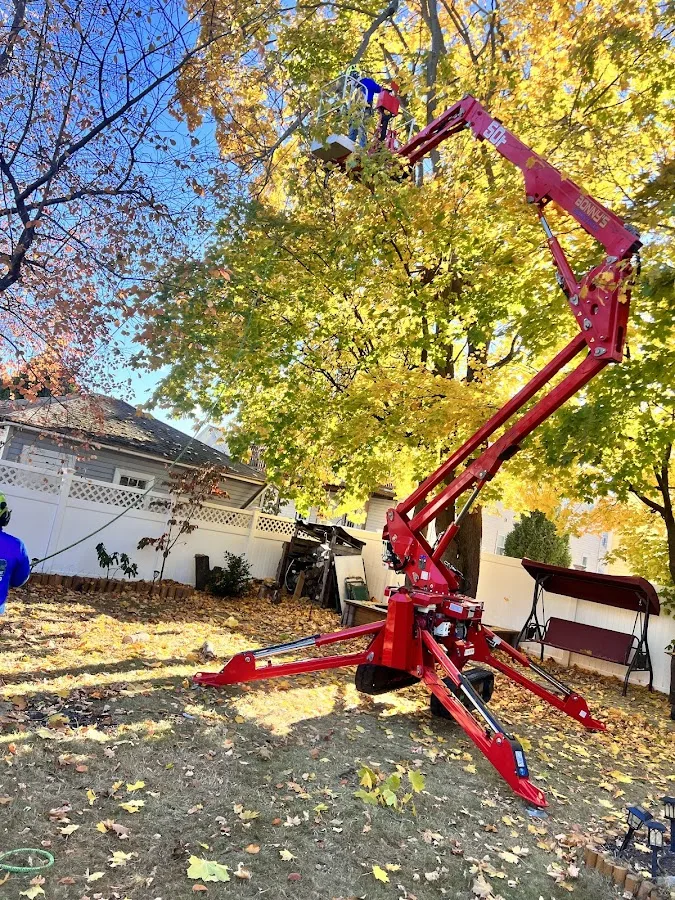 Chilel’s Brookline Tree Service