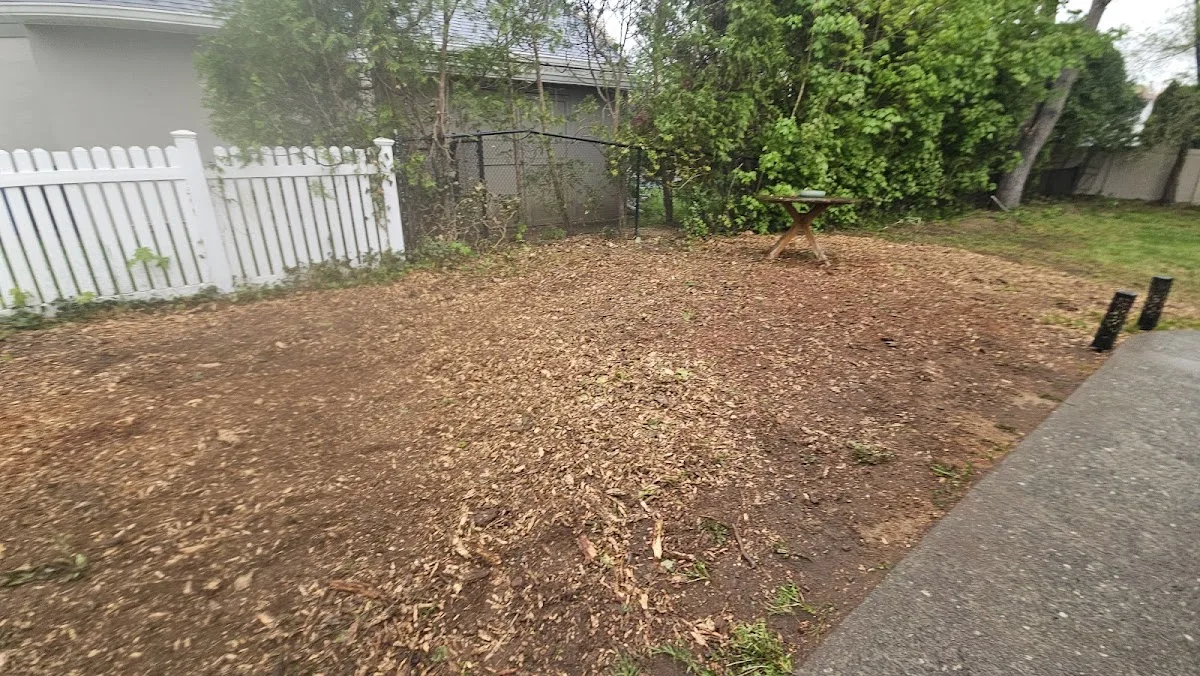 Chop & Chip Tree Service LLC