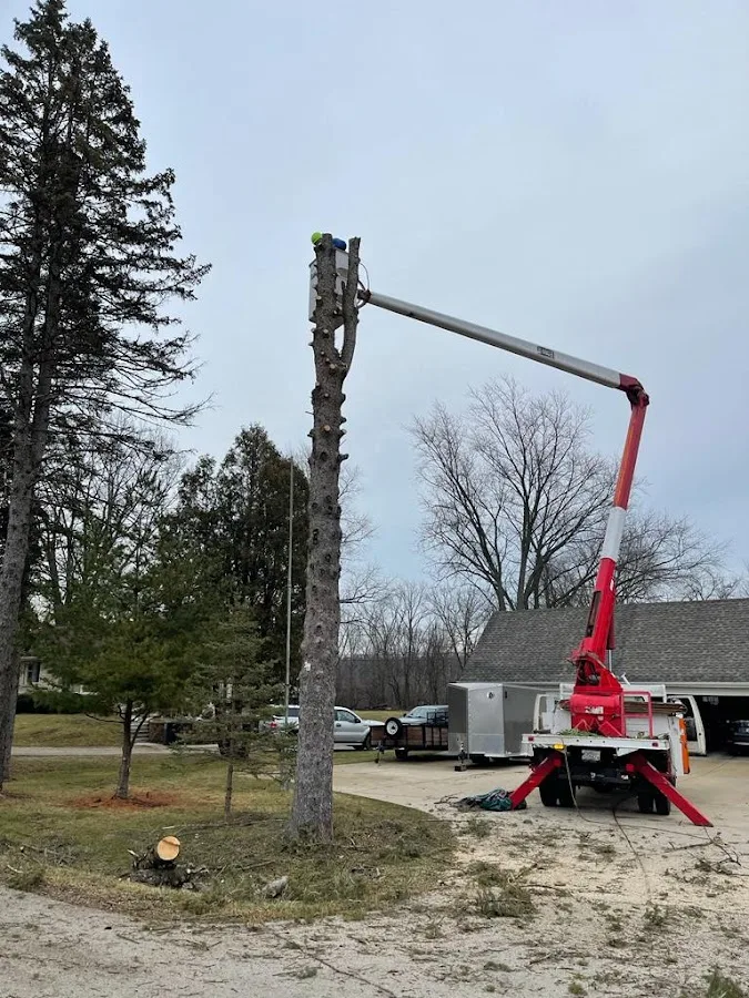 Chris Tree Service Llc