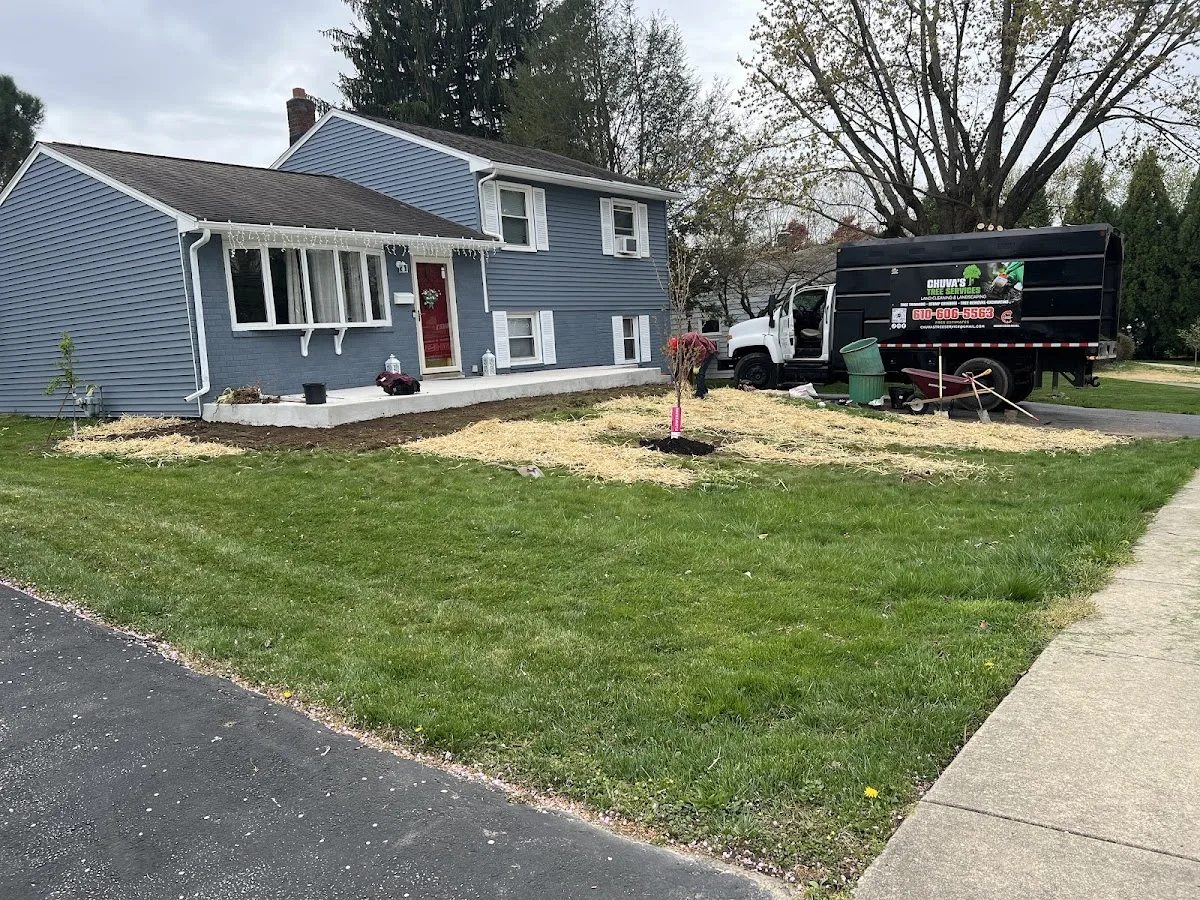 Chuva Tree Services