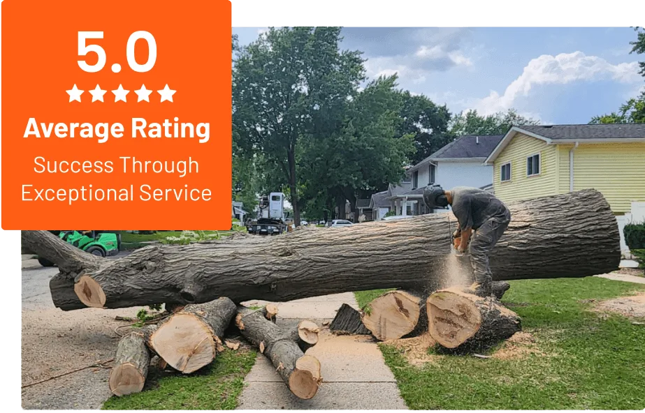 Clean Cut Tree Experts gallery 8