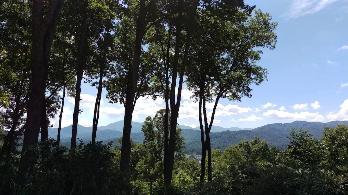 Clear View Tree Services LLC work site