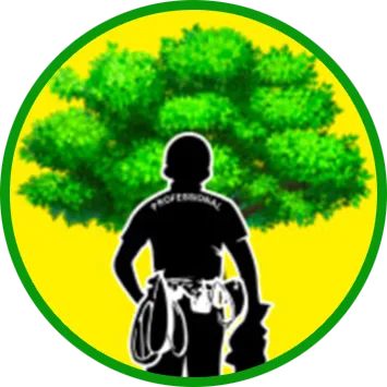 Clear View Tree Services LLC gallery 4