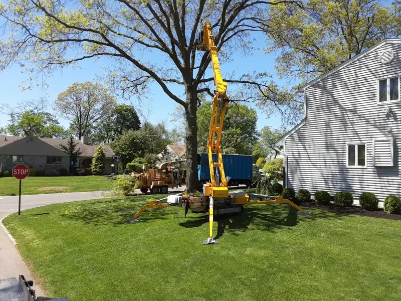 Clearview Tree Service work site