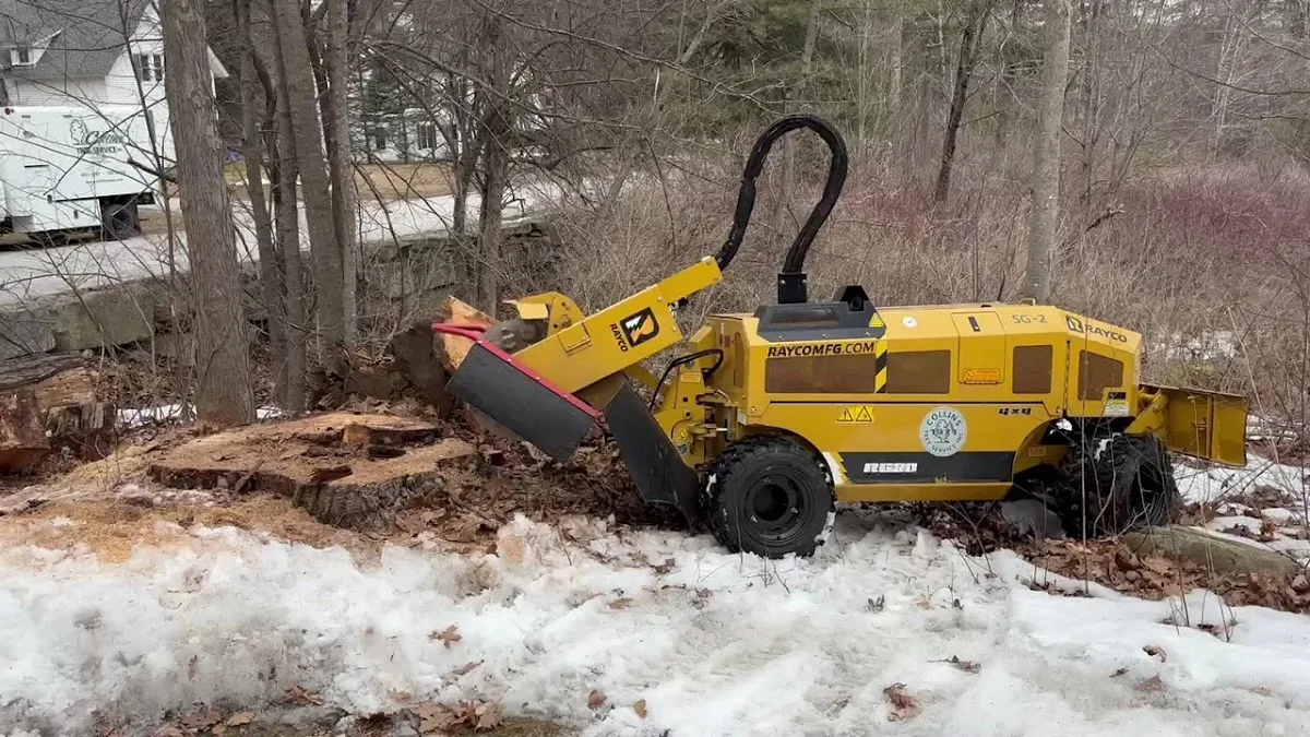 Collins Tree Service in Hooksett: Turn a Manchester-Area Tree Concern Into a Clear Scope