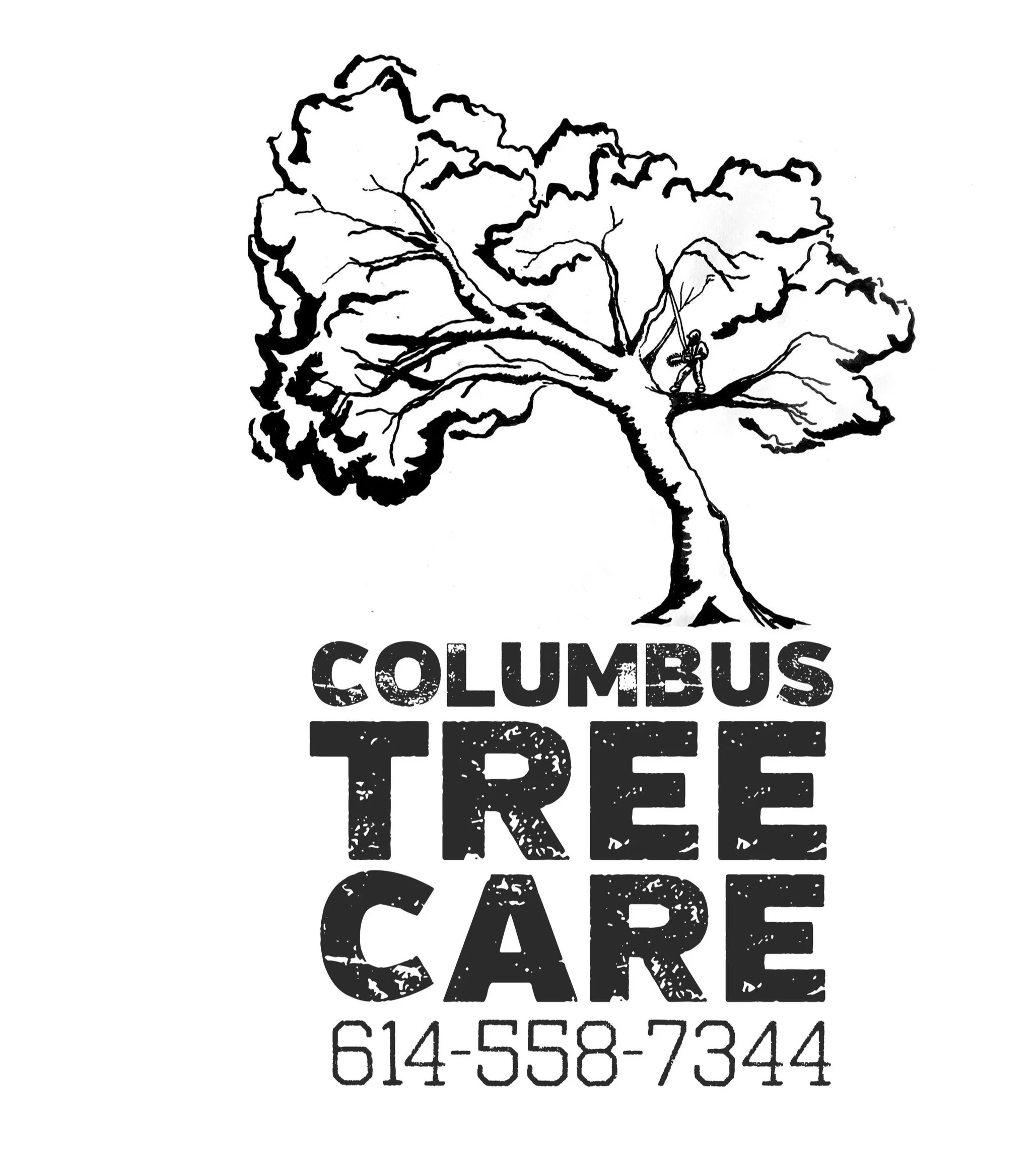 Columbus Tree Care gallery 4