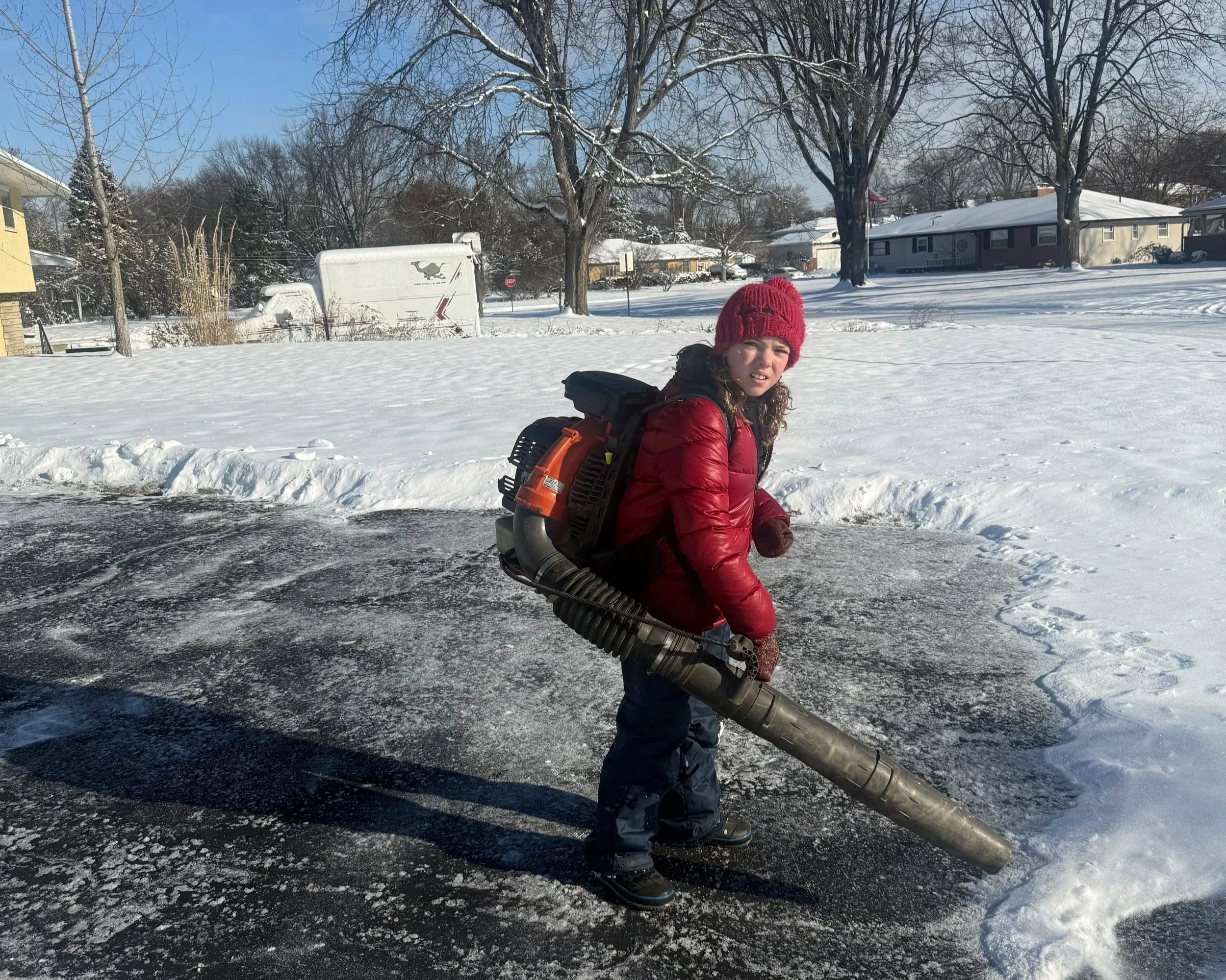 Columbus Tree Care gallery 7