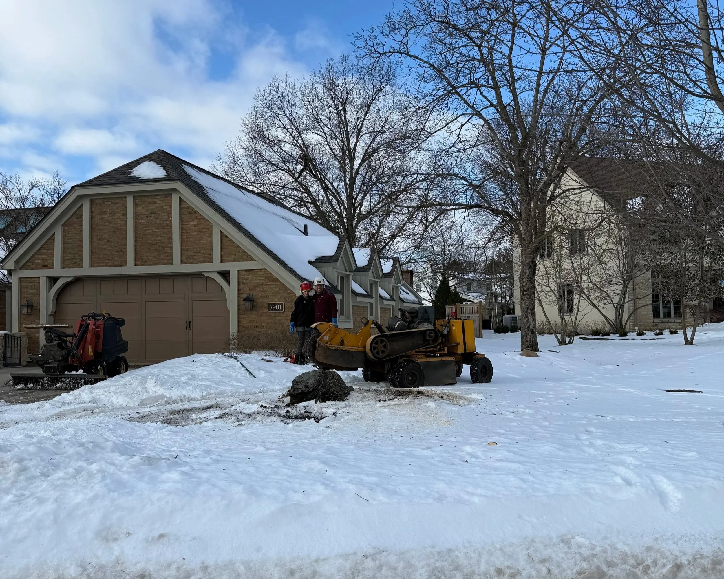 Columbus Tree Care gallery 8