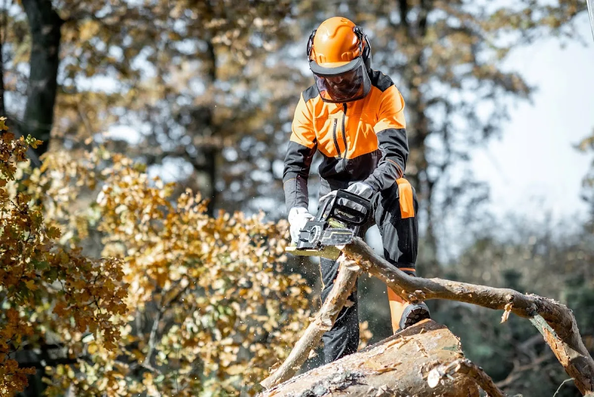 Columbus Tree Service Experts. gallery 2