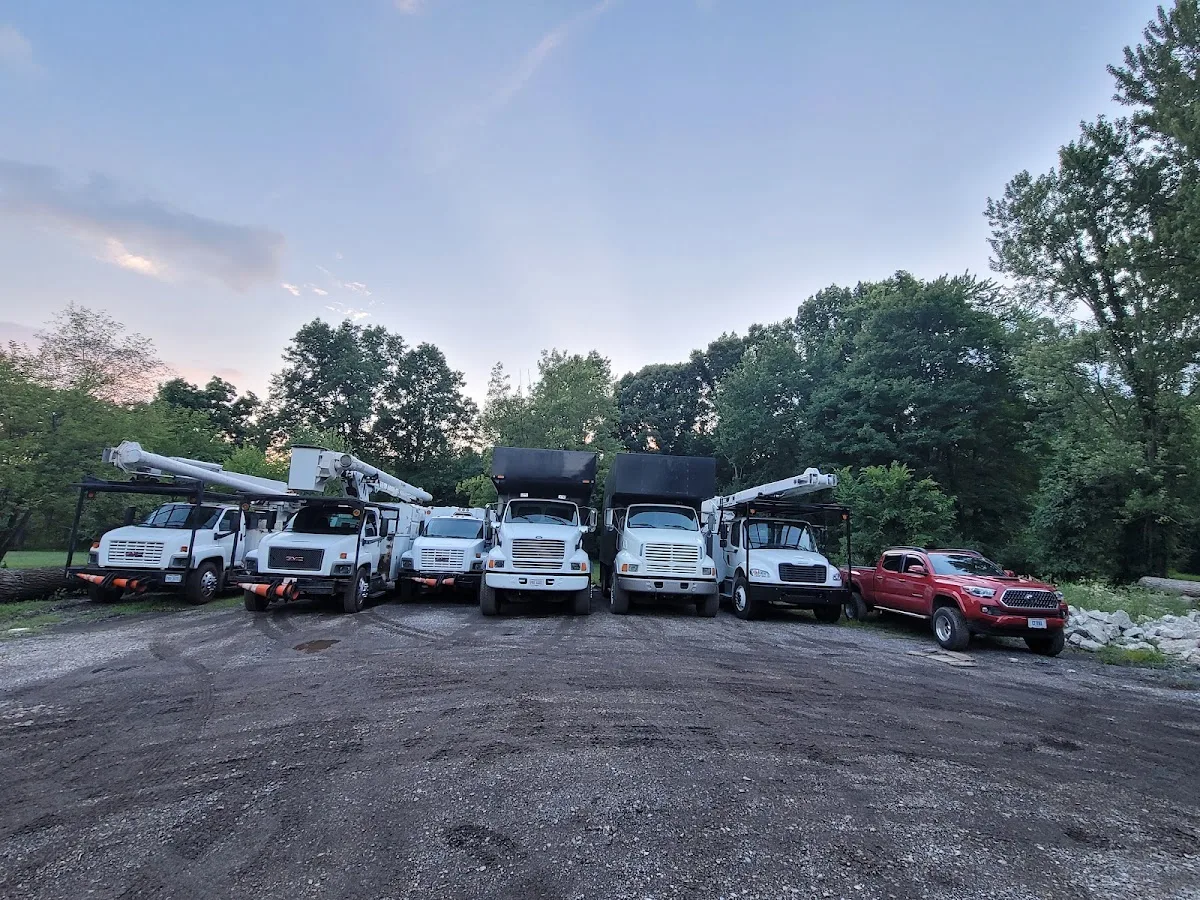 Columbus Tree Services
