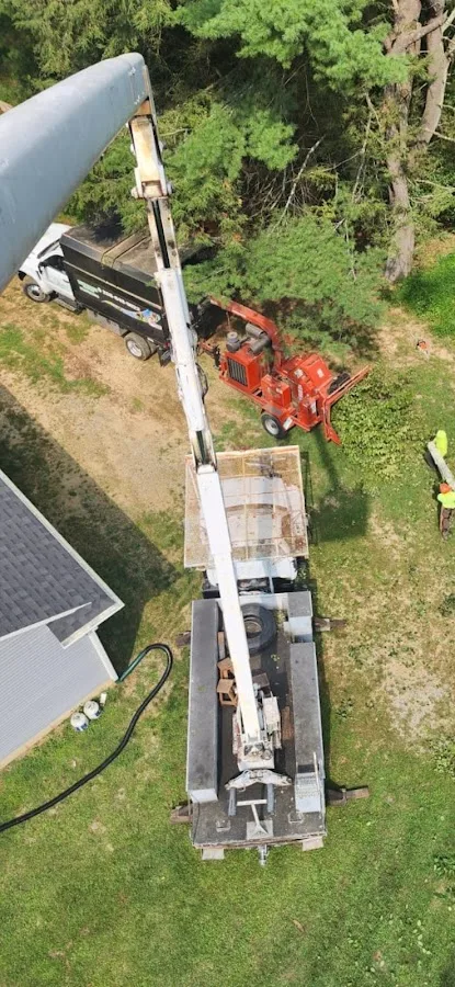 Connecticut Tree Service