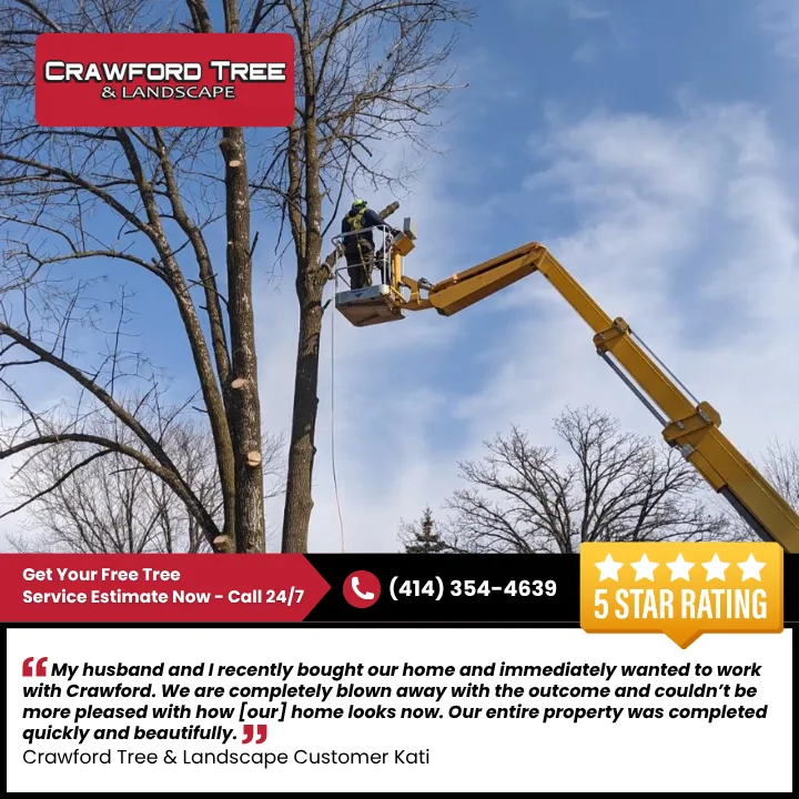 Crawford Tree & Landscape Services, Inc. gallery 2