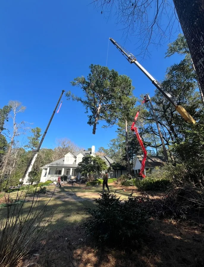 Cricket's Tree Service, Inc.