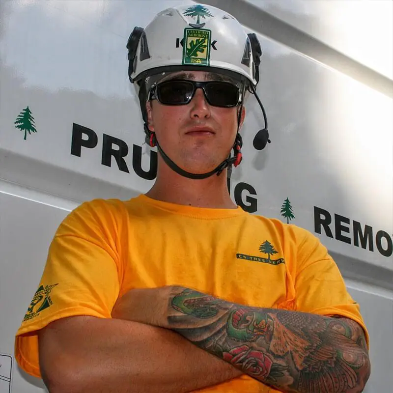 CS Tree Services Inc gallery 8