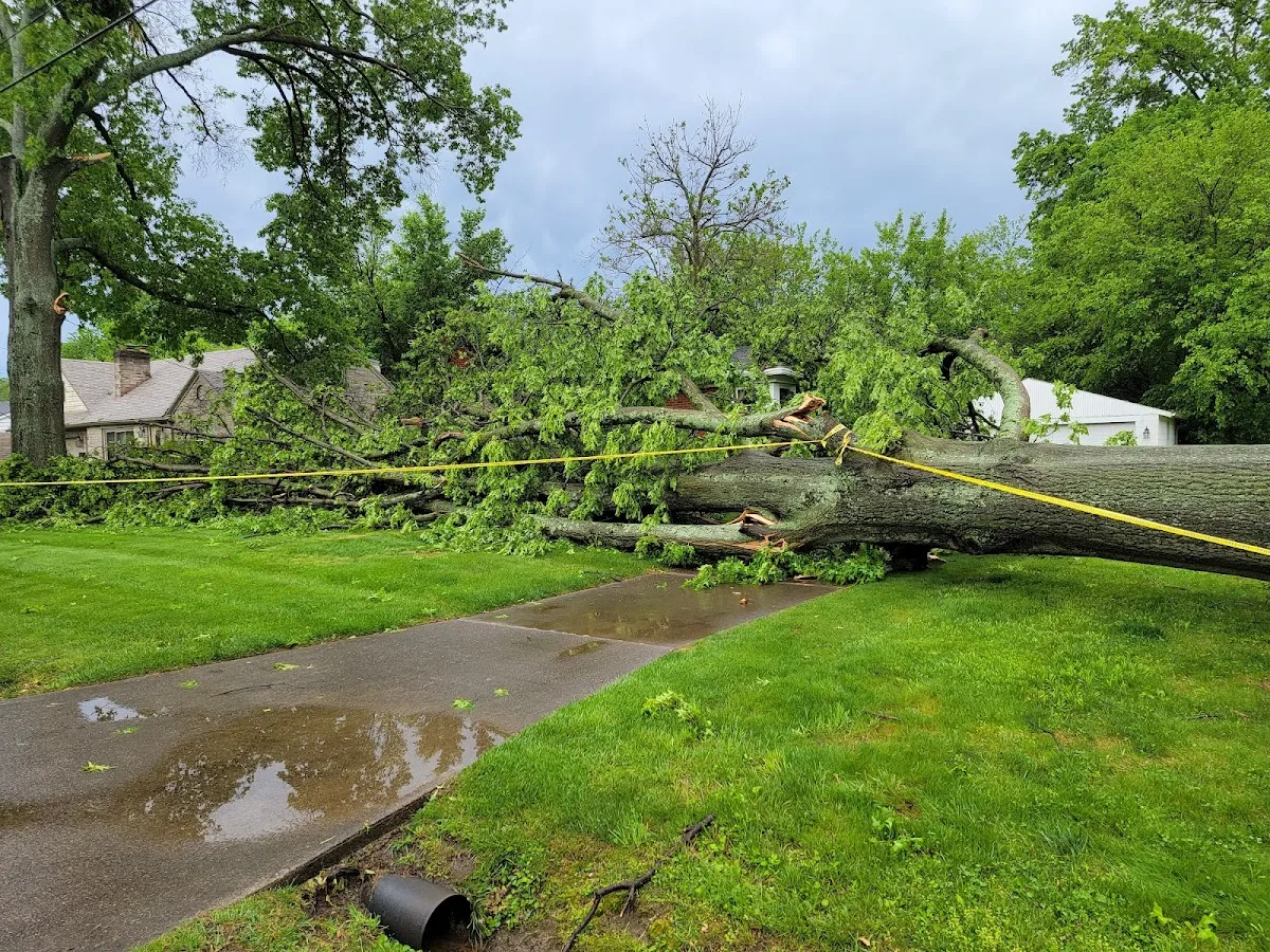 Danka Tree Care Co.