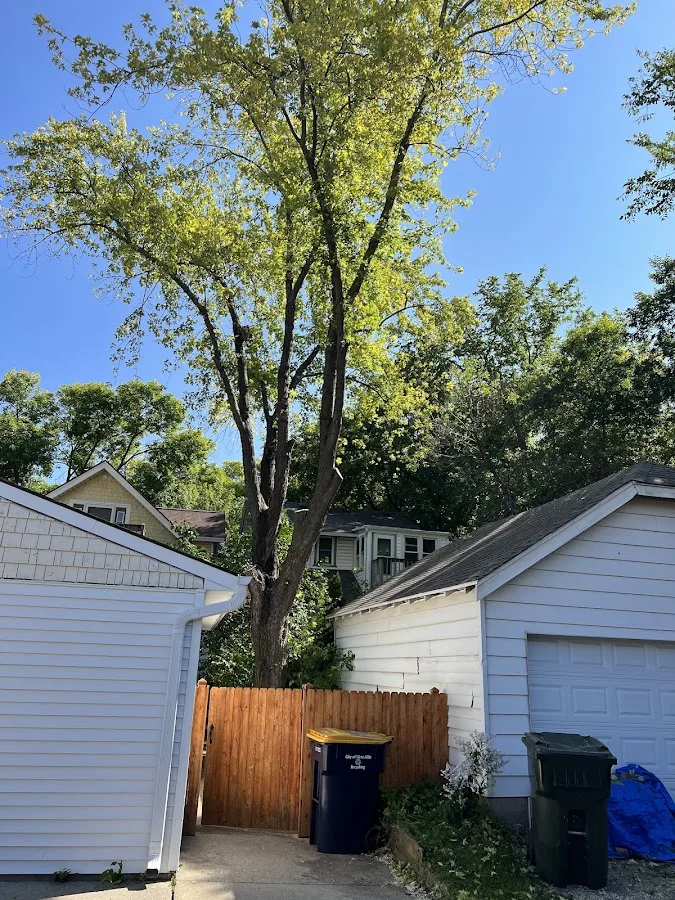 Dennis & Son Tree Service