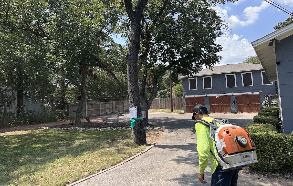 DFW Tree Guys