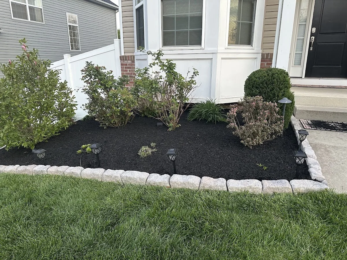Diamond Tree and Landscaping Service