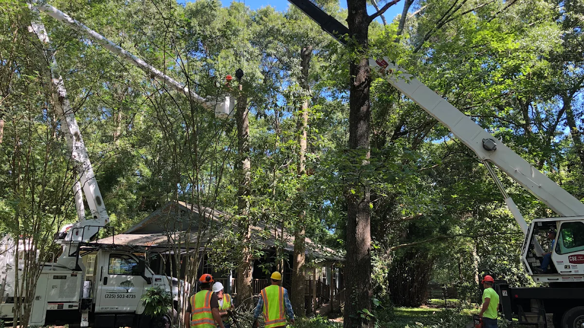 Diversified Tree Company