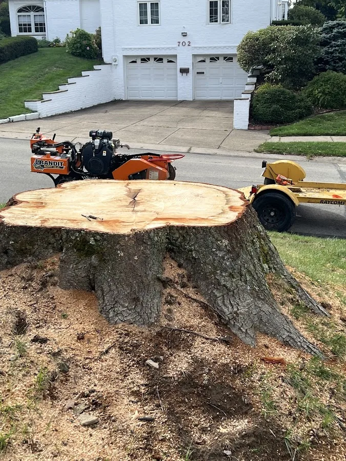 DK Stump Grinding LLC