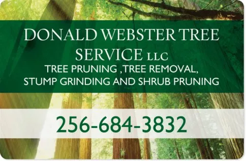 Donald Webster Tree Service llc