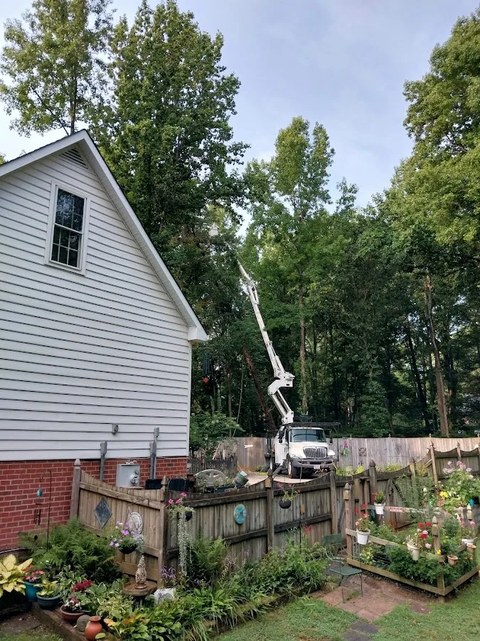 Donald Whorton tree service unlimited