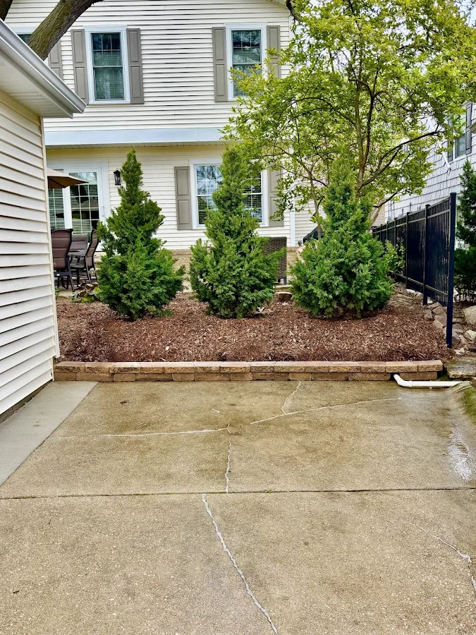 Dorshak Tree Specialists