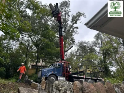 Earthworks Tree Services, INC gallery 3