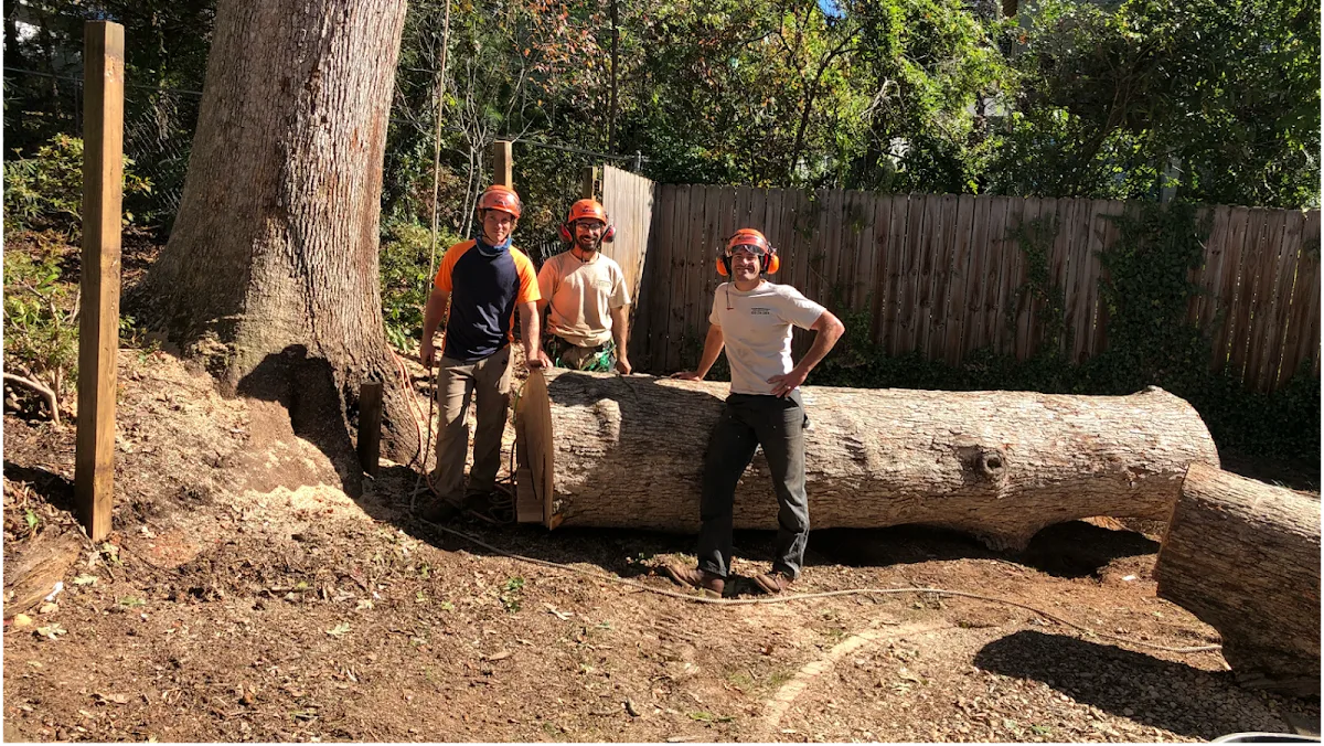 Earthworks Tree Services, INC gallery 2