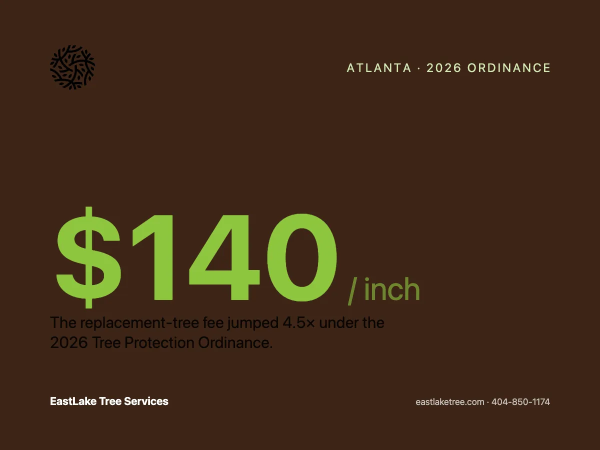 EastLake Tree Services gallery 2