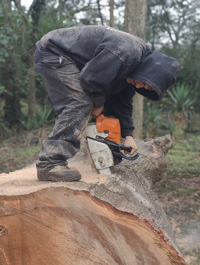 Easy Tree Service