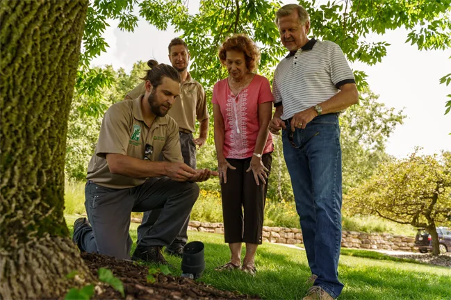 ECO Tree Company