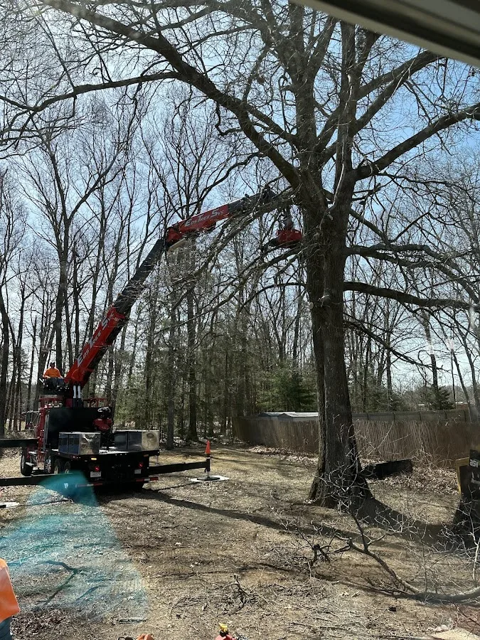Ed's Tree Services.