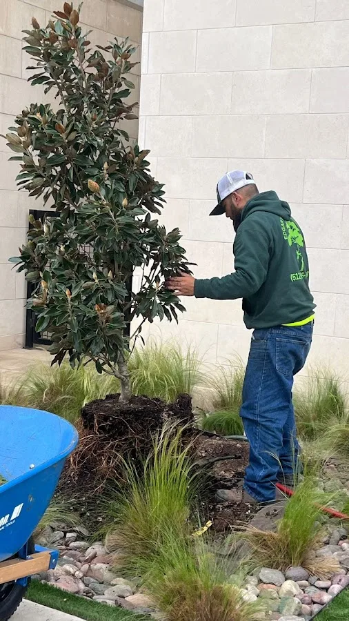 Edgar's Tree Service LLC