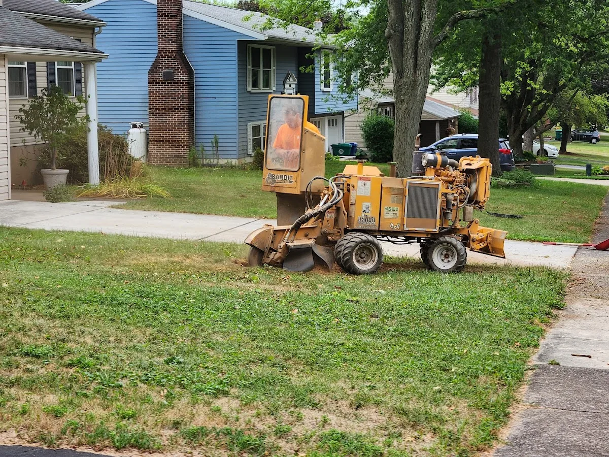 Eichelbergers Tree Service